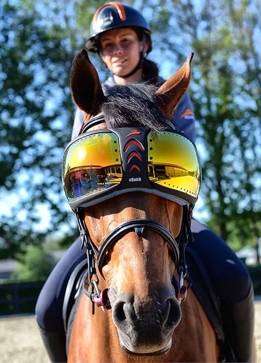 UV Protection Horse Riding Goggles by eQuick it - Mirrored Orange Lenses