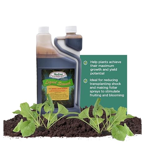 Medina Liquid Seaweed Fertilizer for Plants, 1 Quart