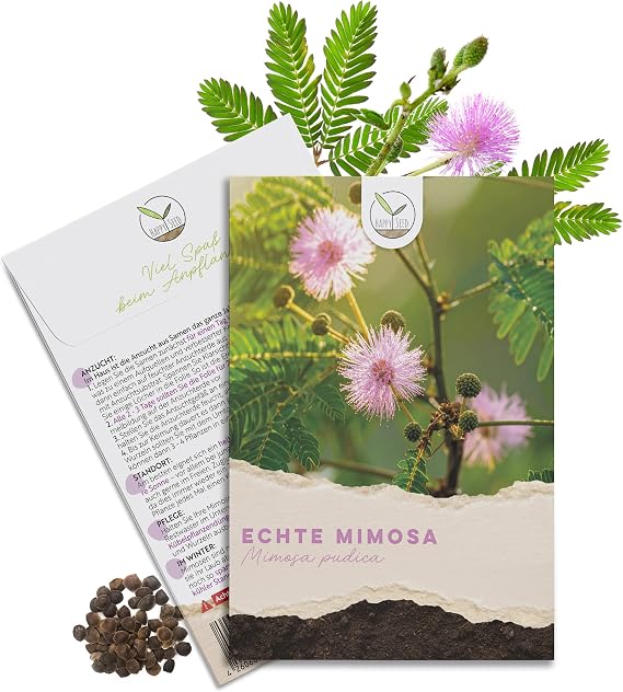 Real Mimosa Seeds (Mimosa Pudica) with High Germination Rate - Plant Seeds for Multi-Blooded & Moving Mimosas