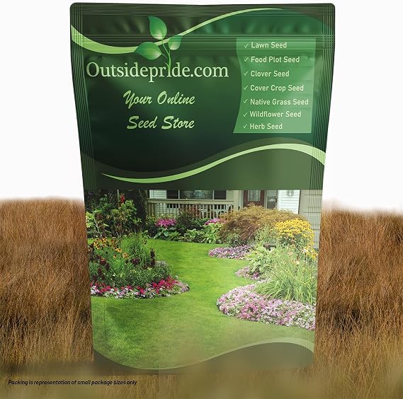 Outsidepride Western Native Grass Seed Mix - 1 lb. Perennial Blend of Warm & Cool Season, Drought Tolerant Grass Seed for Natural Landscaping w/Wildflower, Soil Health Improvement & Erosion Control
