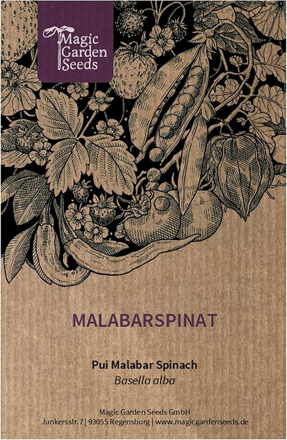 Malabarspinat (Basella alba) - ca. 20 Samen