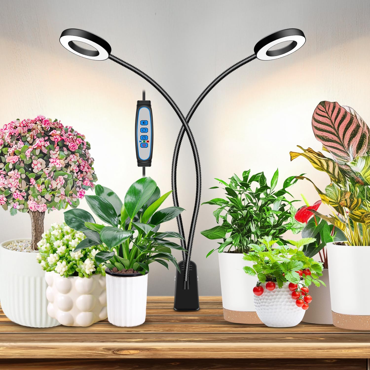 Eurbolan Grow Lights for Indoor Plant, Halo LED Grow Light with Clip, Upgrade 96 LEDs Clip On Plant Lights, Full Spectrum LED Plant Growing Lamp with 3 Modes & 5 Dimmable Levels, Auto Timer 61216H. [Energy Class F]