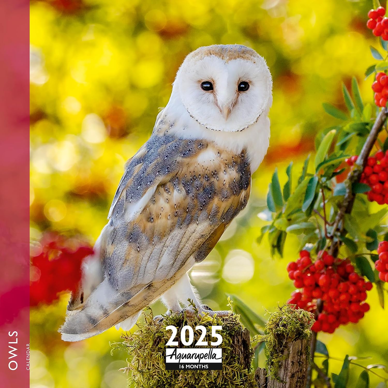 Aquarupella 2025 Calendar - Monthly Wall Calendars - 12-Month Calendar, 12 x 12, Owls