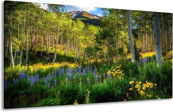 Canvas Wall Art Prints Kebler Pass Wildflowers Large Framed Wall Art Painting Artwork Poster Hanging Home Decor for Living Room Office Bathroom 20"x40"