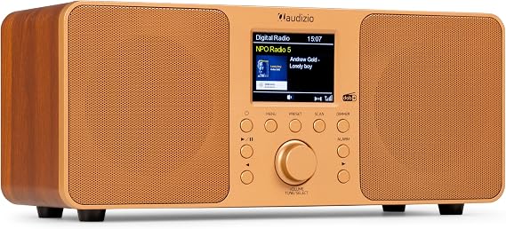 Audizio Genoa DAB Radio with Bluetooth Stereo DAB Plus Radio with Remote Control 60 Memory Slots Auto Scan Line-Out USB Ideal for Home and Travel Easy to Use - Copper