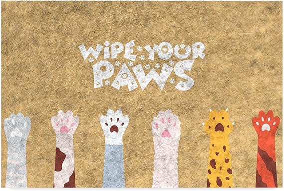 Monnhein Design Decorative Door front Mat, Outdoor/In-Home/Bathroom/Kitchen/Bedroom/Entrance Mats (Wipe Your Paws, 45X70)