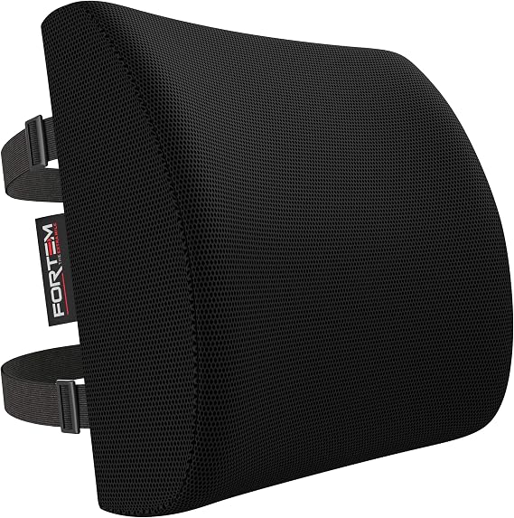 FORTEM Lumbar Support Pillow for Office Chair Lumbar Support Pillow for Car