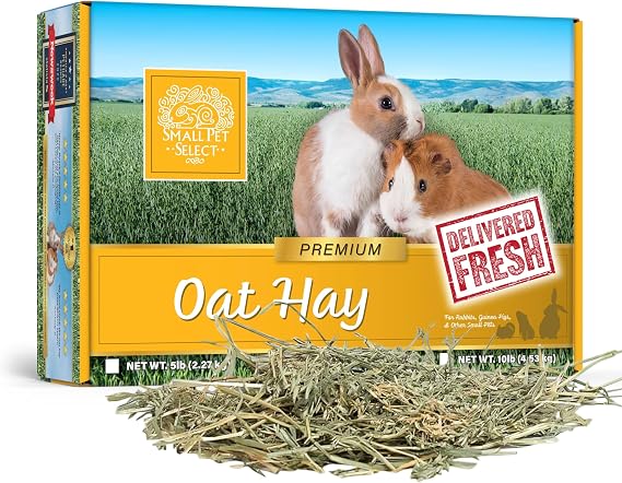 Small Pet Select – Oat Hay Pet Food, 5lb (2.27kg) Box | High-Fiber, Aromatic Hay for Rabbits, Guinea Pigs & Small Pets | Easy-to-Store Packaging