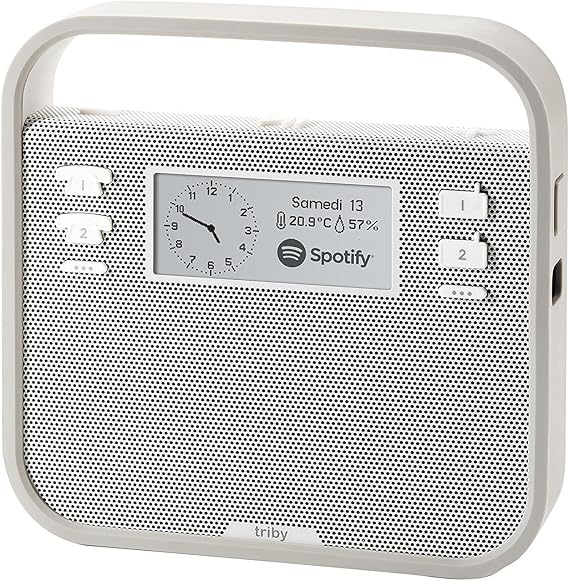 Invoxia Smart portable speaker with built-in Alexa Voice Service, Grey