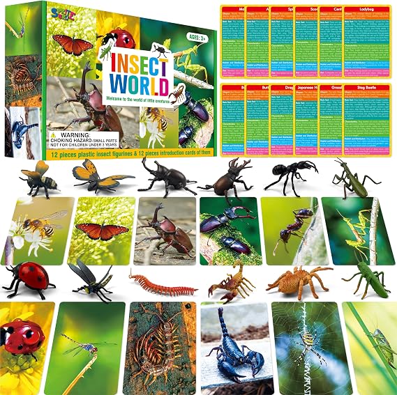 12 PCS Plastic Insect Figurines with 12 Introduction Flashcards, Small Creature Learning Recognition Cards Realistic Bug Models Educational Learning Toy Set for Kids, Classroom