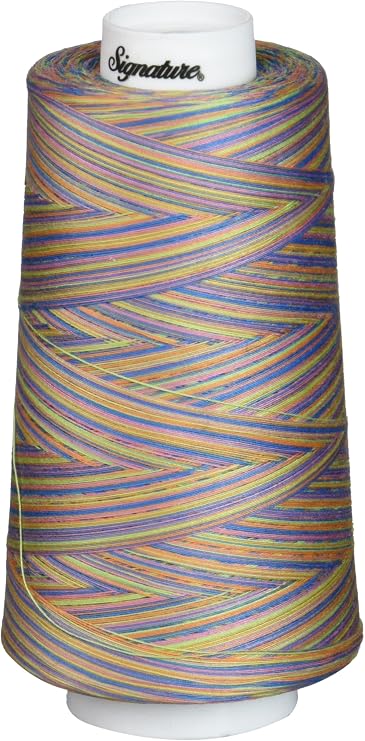 Signature Cotton Quilting Thread, 3000 yd, Variegated Summery Fun 49S-F253