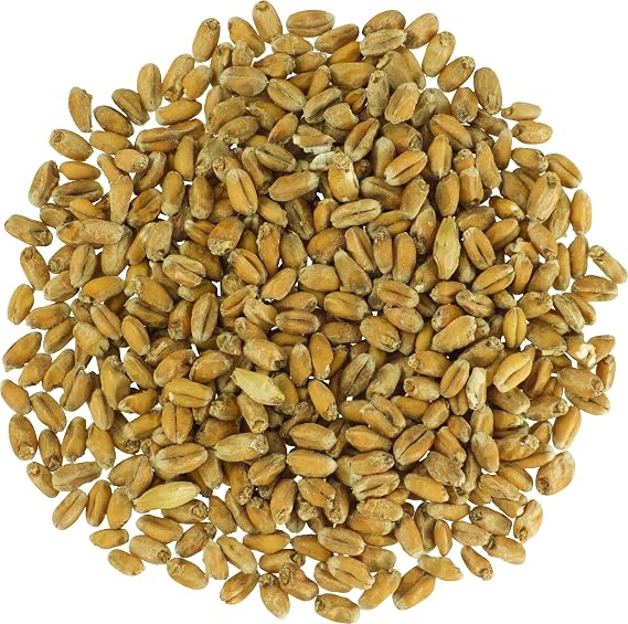 Malt - Briess Raw White Wheat - 10 LB